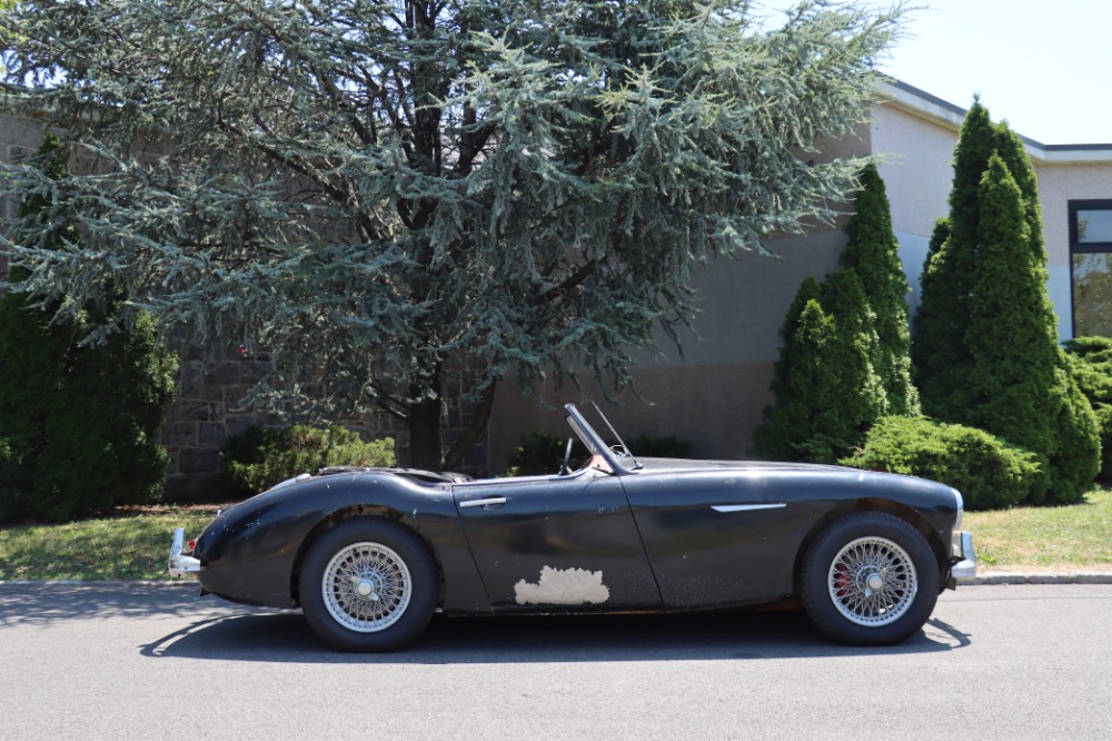 Used 1962 Austin Healey 3000 MKII   | Astoria, NY