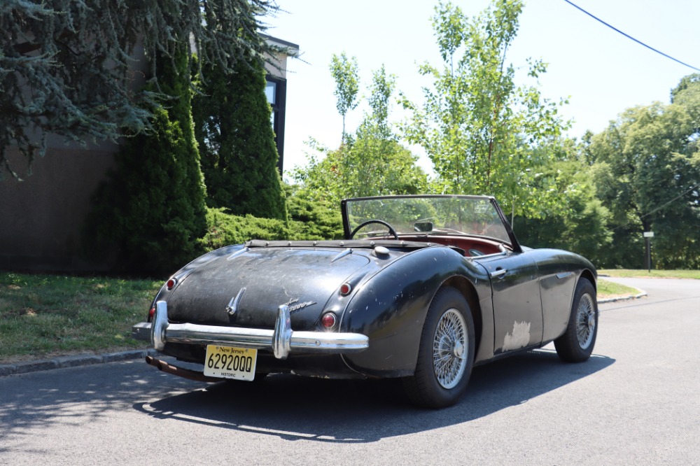 Used 1962 Austin Healey 3000 MKII  | Astoria, NY