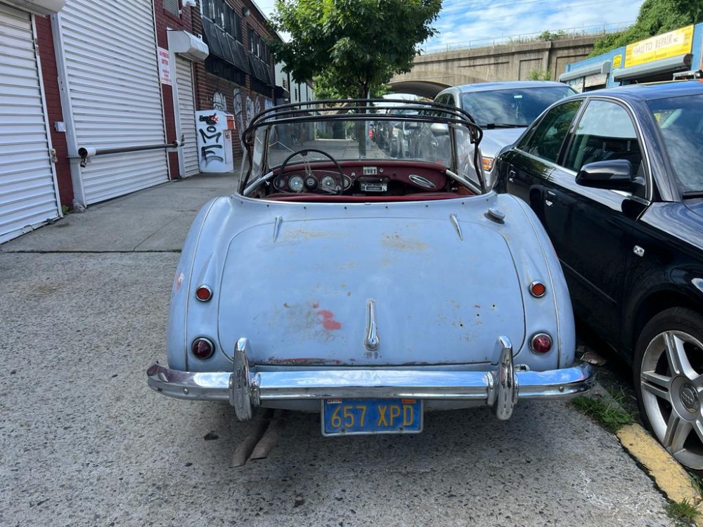 Used 1960 Austin Healey 3000 BT7  | Astoria, NY