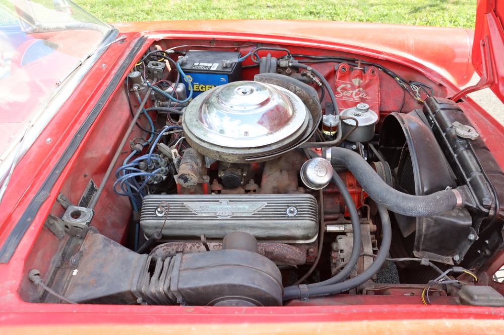 Used 1955 Ford Thunderbird  | Astoria, NY