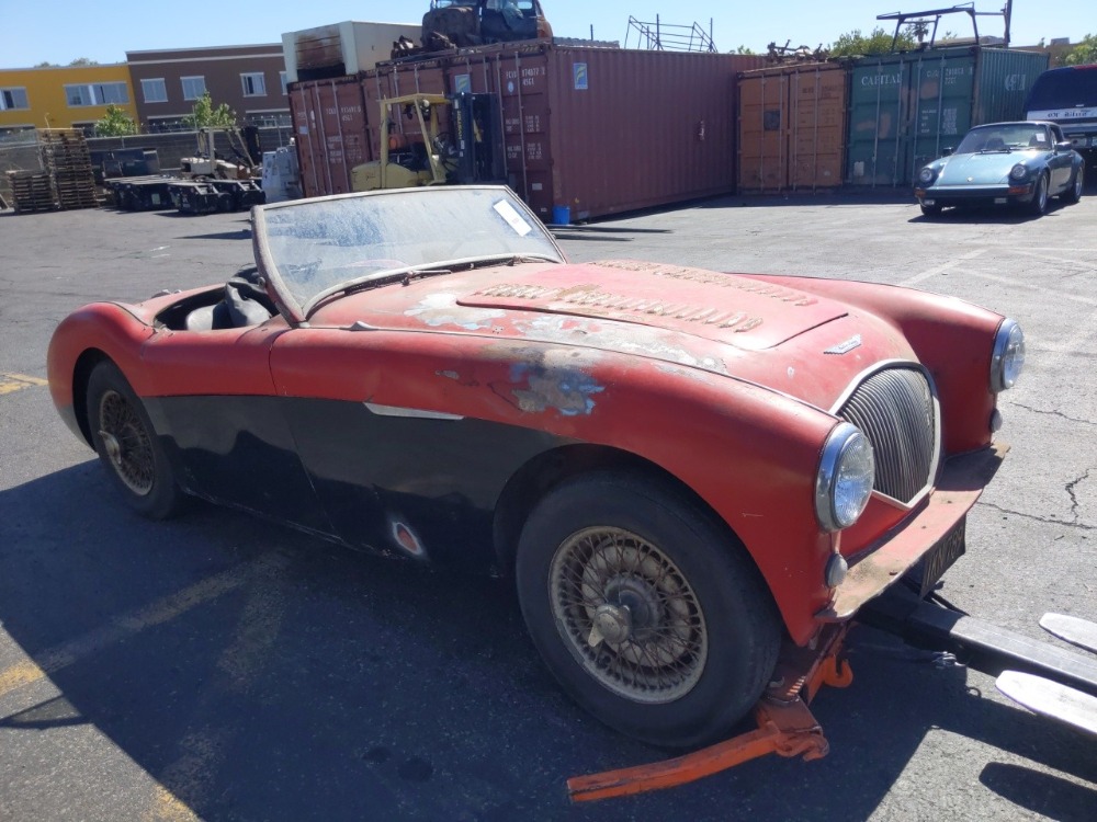 Used 1955 Austin Healey 100-4  | Astoria, NY