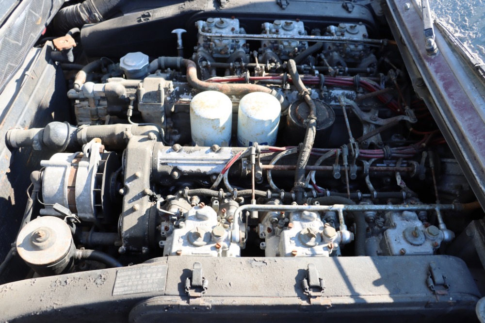 Used 1975 Ferrari 365 GT4 2+2   | Astoria, NY