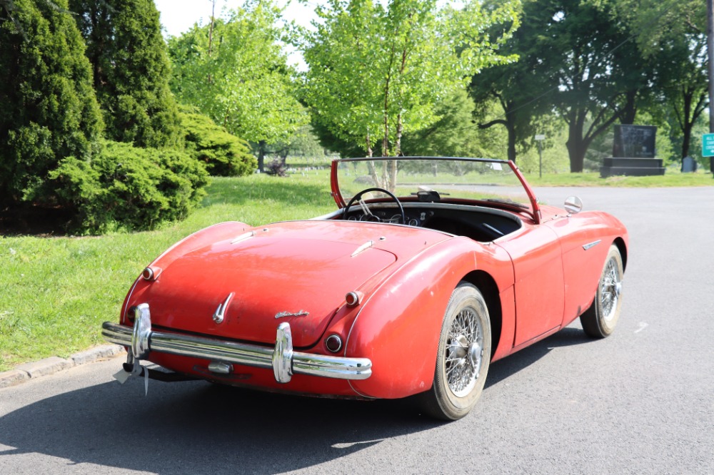 Used 1955 Austin Healey 100-4  | Astoria, NY