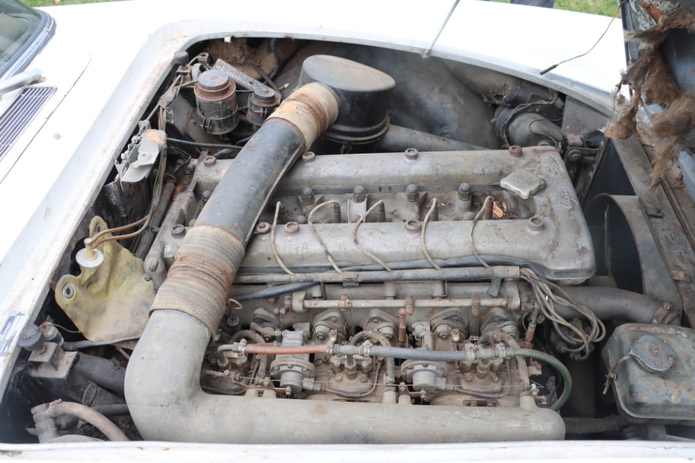 Used 1966 Alfa Romeo 2600 Spider  | Astoria, NY