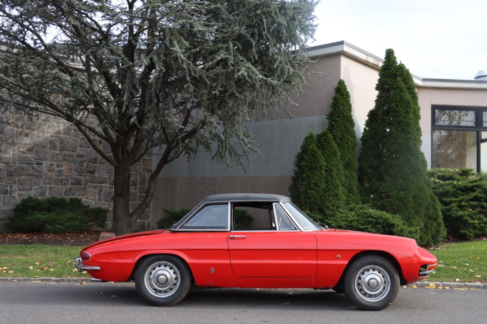Used 1969 Alfa Romeo Duetto 1750 Boat-Tail Spider   | Astoria, NY