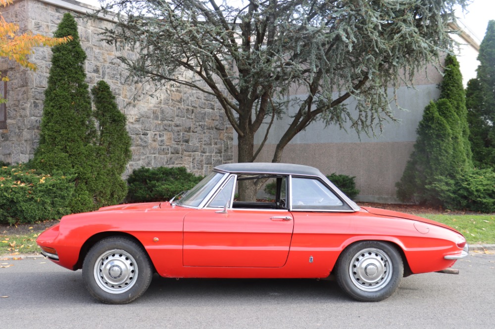 Used 1969 Alfa Romeo Duetto 1750 Boat-Tail Spider   | Astoria, NY