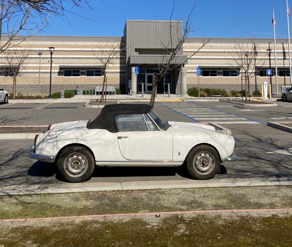 Used 1962 Alfa Romeo Giulietta Spider   | Astoria, NY