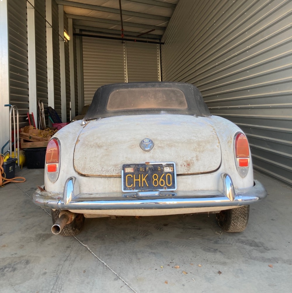 Used 1962 Alfa Romeo Giulietta Spider   | Astoria, NY