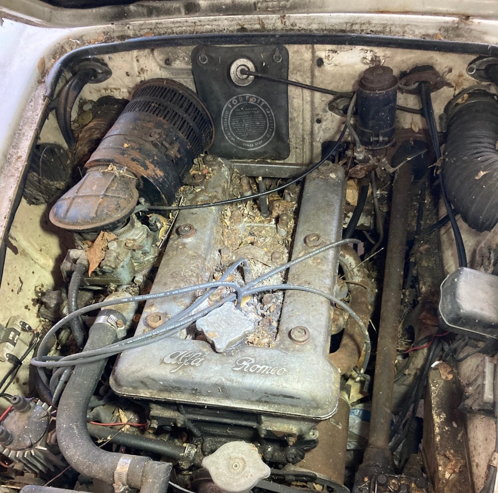Used 1962 Alfa Romeo Giulietta Spider   | Astoria, NY