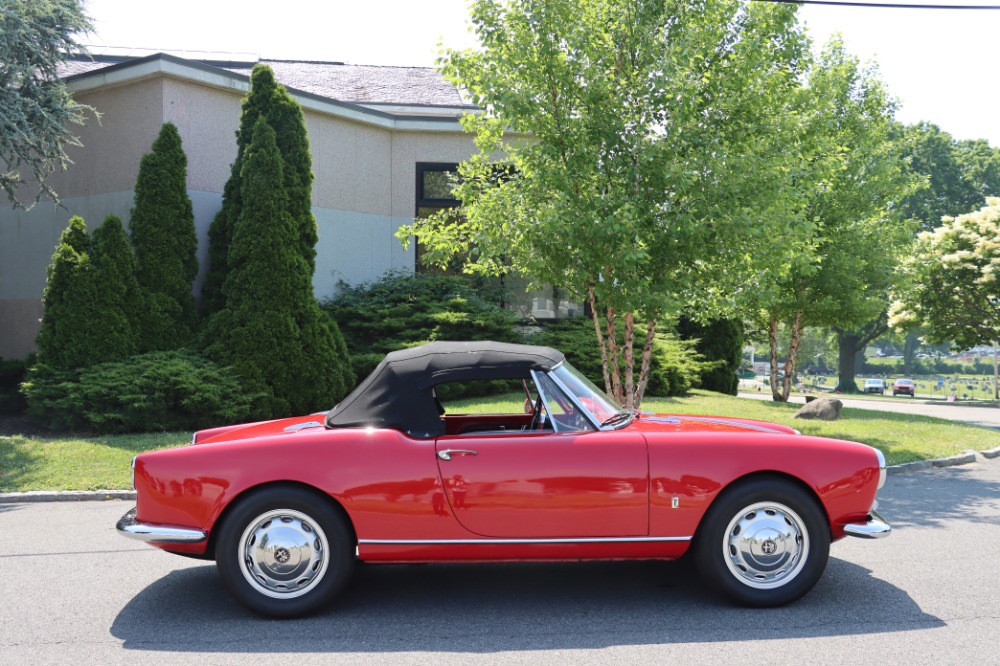 Used 1959 Alfa Romeo Giulietta Spider   | Astoria, NY