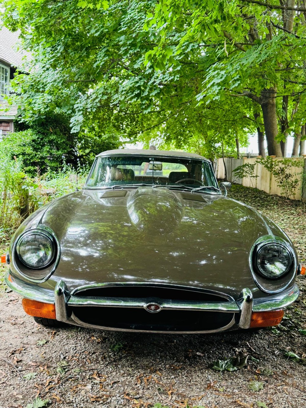 Used 1971 Jaguar XKE Series II   | Astoria, NY