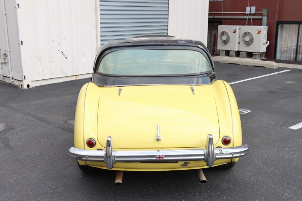 Used 1954 Austin Healey 100-4 BN1  | Astoria, NY