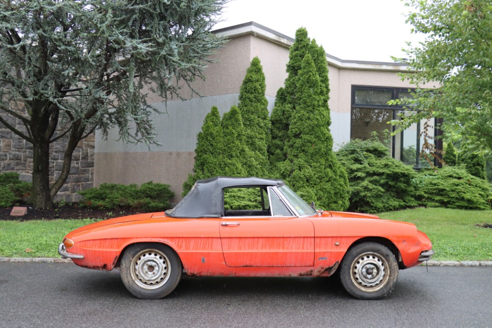 1966 Alfa Romeo Duetto 3