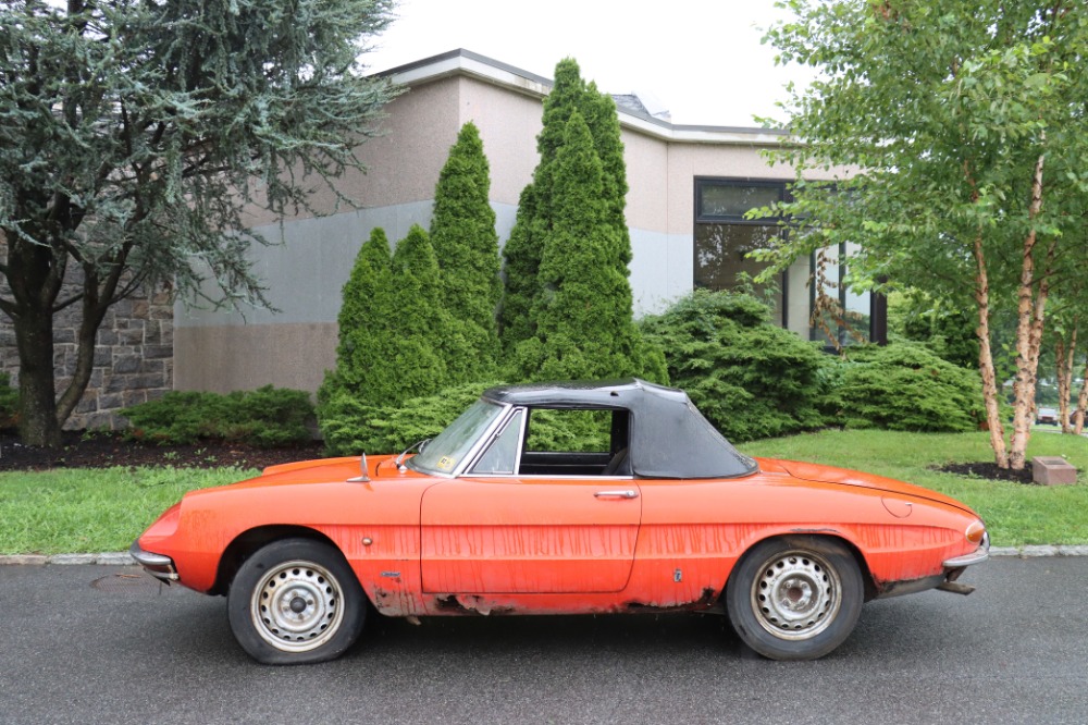 1966 Alfa Romeo Duetto 4