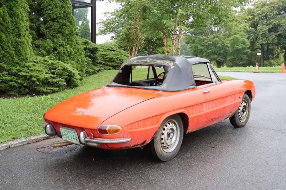 1966 Alfa Romeo Duetto 5