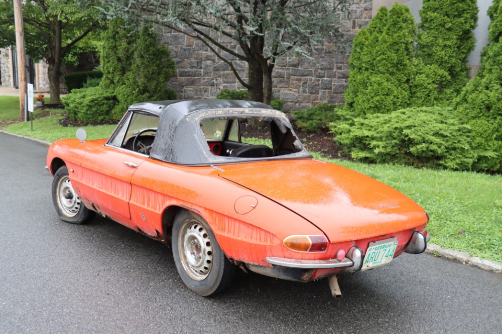 1966 Alfa Romeo Duetto 6
