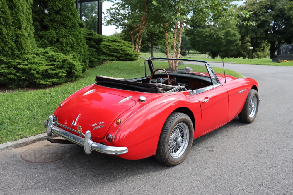 Used 1965 Austin Healey 3000 MK III   | Astoria, NY