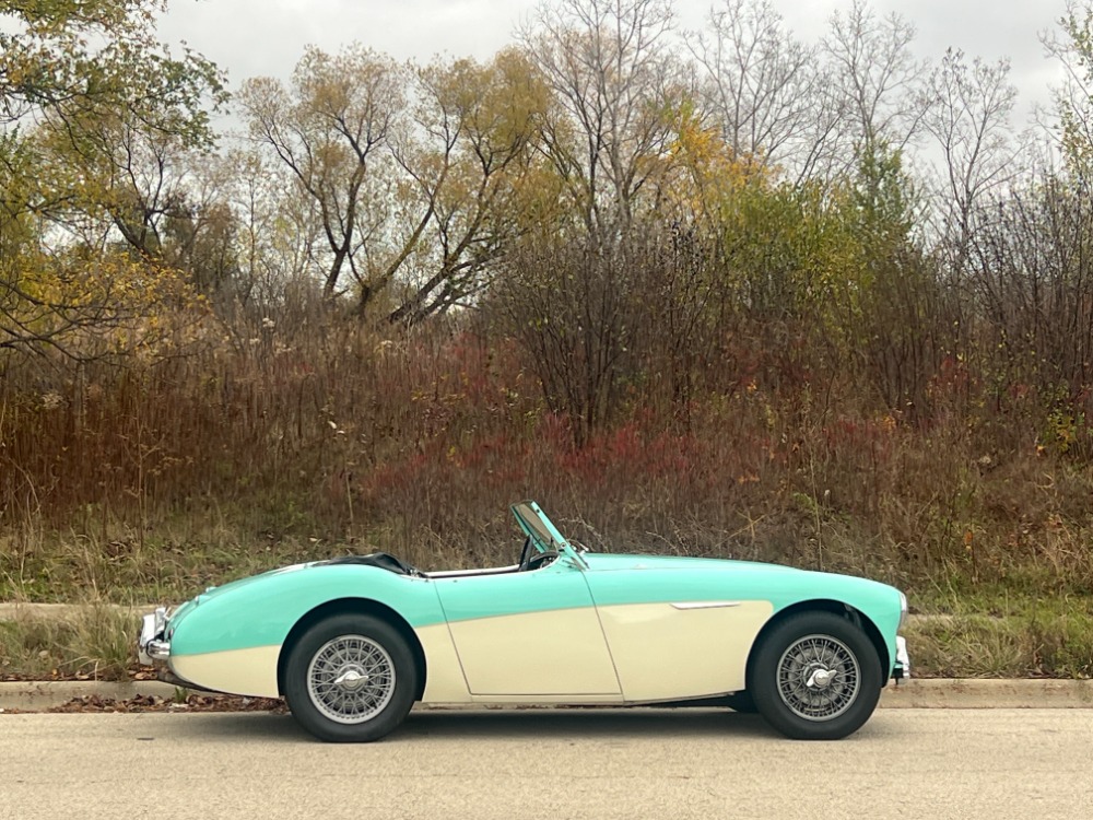 Used 1956 Austin Healey 100-4 BN2  | Astoria, NY