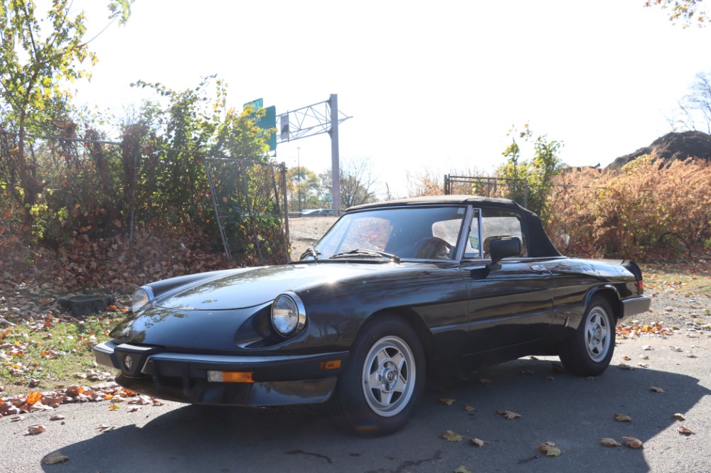 Used 1984 Alfa Romeo Spider Veloce 2.0   | Astoria, NY