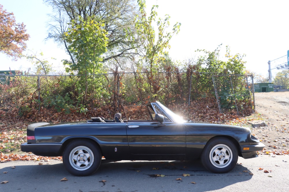 Used 1984 Alfa Romeo Spider Veloce 2.0   | Astoria, NY