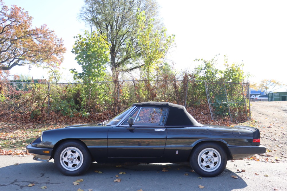 Used 1984 Alfa Romeo Spider Veloce 2.0   | Astoria, NY