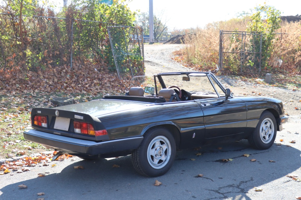 Used 1984 Alfa Romeo Spider Veloce 2.0   | Astoria, NY