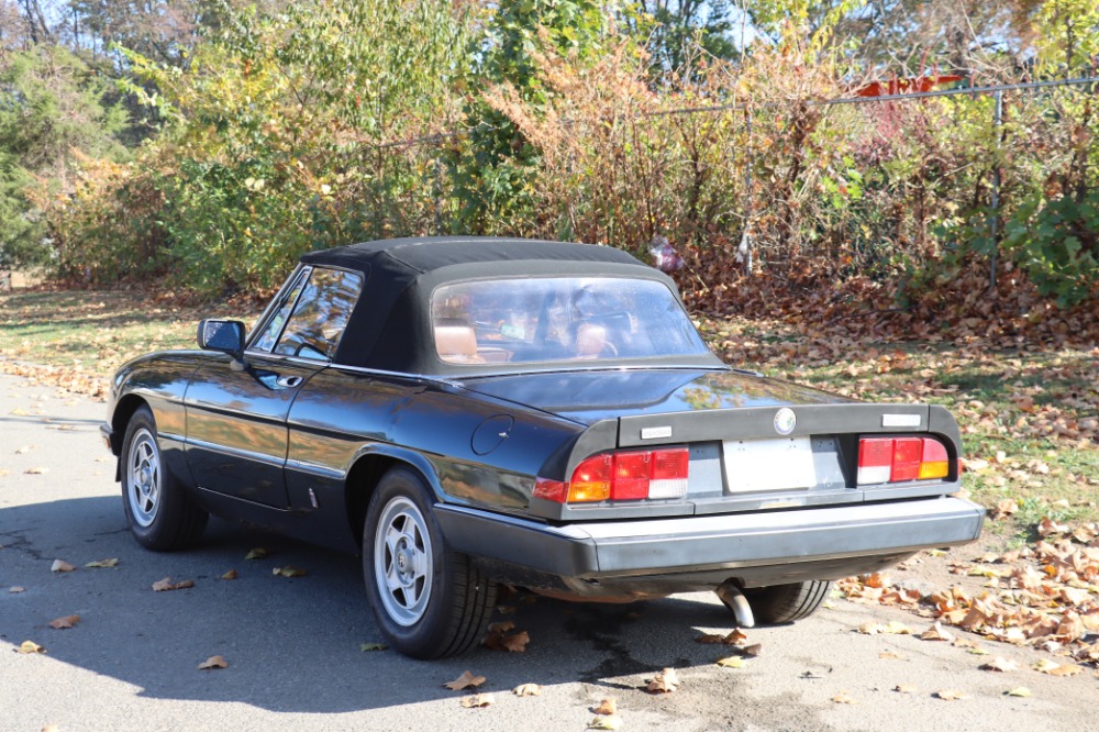 Used 1984 Alfa Romeo Spider Veloce 2.0   | Astoria, NY
