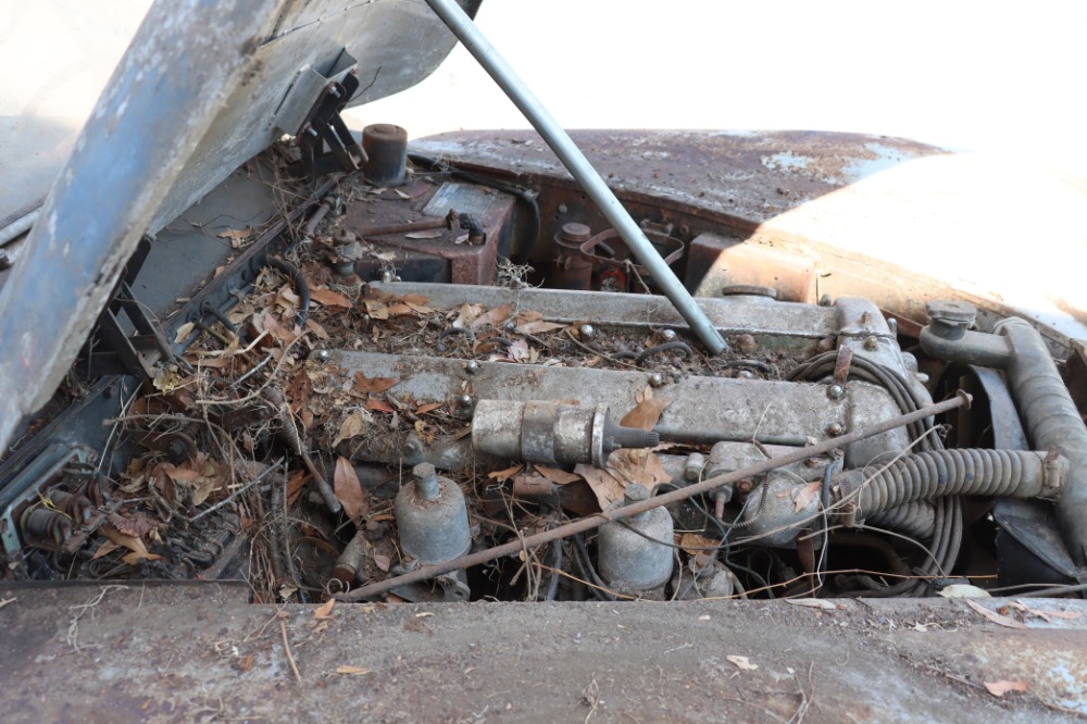 Used 1959 Jaguar XK150   | Astoria, NY