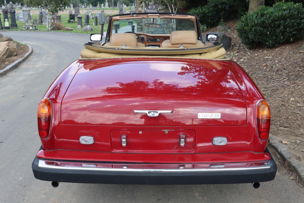 Used 1983 Bentley Corniche   | Astoria, NY