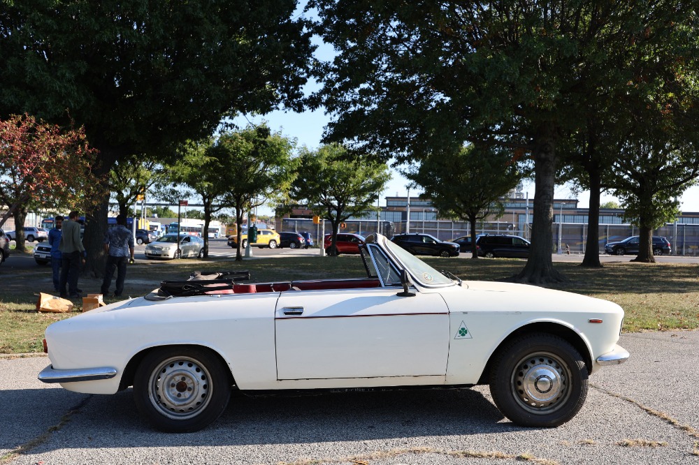 Used 1965 Alfa Romeo Giulia   | Astoria, NY