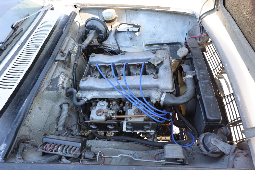 Used 1965 Alfa Romeo Giulia   | Astoria, NY