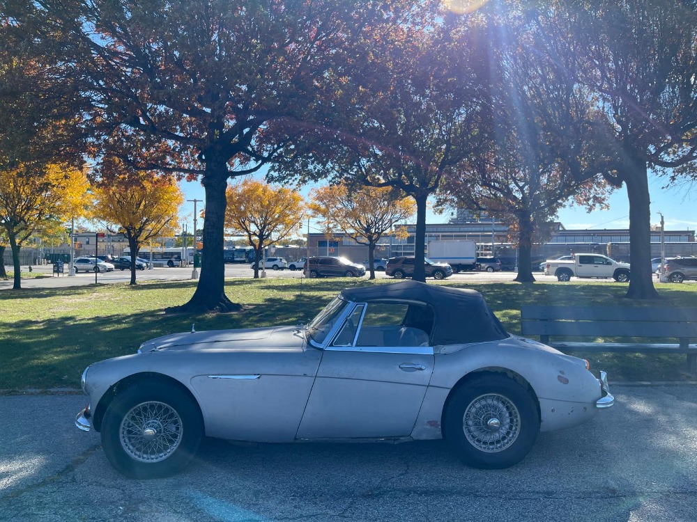 Used 1966 Austin-Healey 3000 MK III   | Astoria, NY