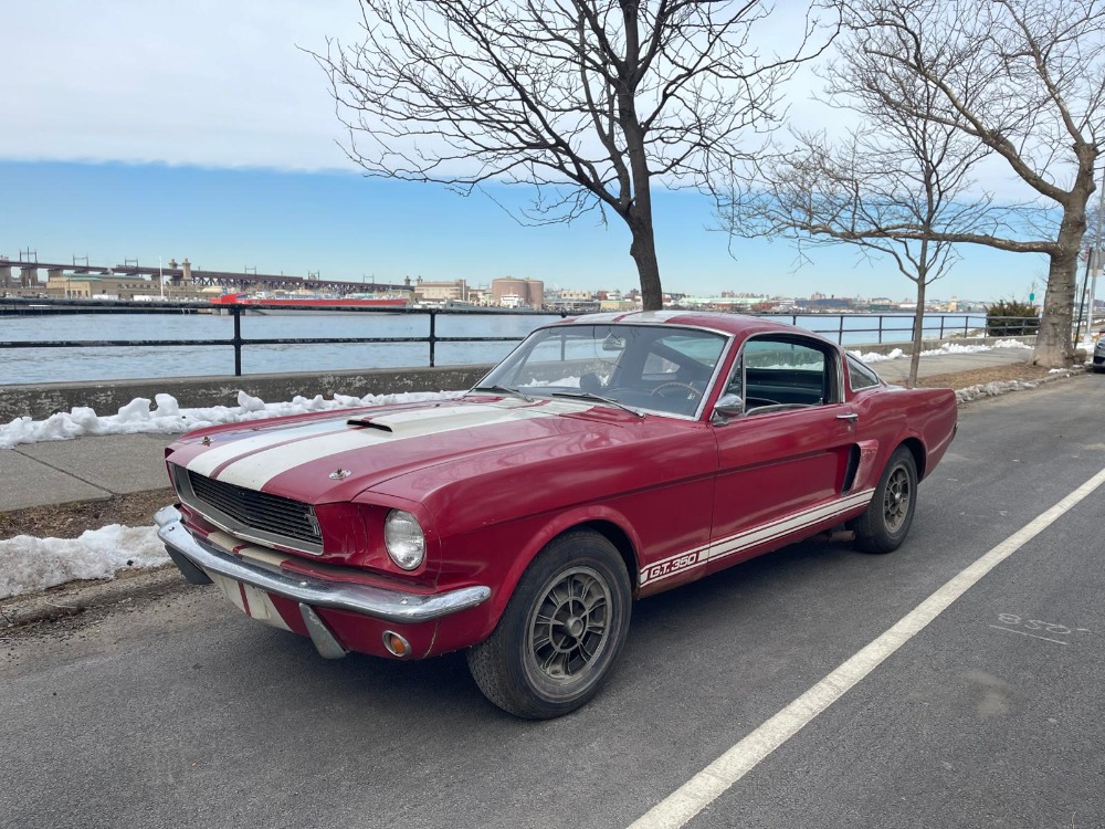 Used 1966 Ford Shelby Mustang   | Astoria, NY