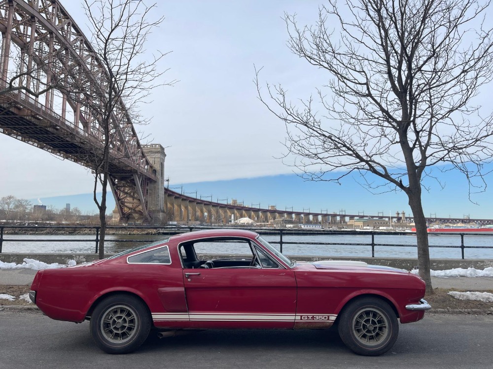 Used 1966 Ford Shelby Mustang   | Astoria, NY