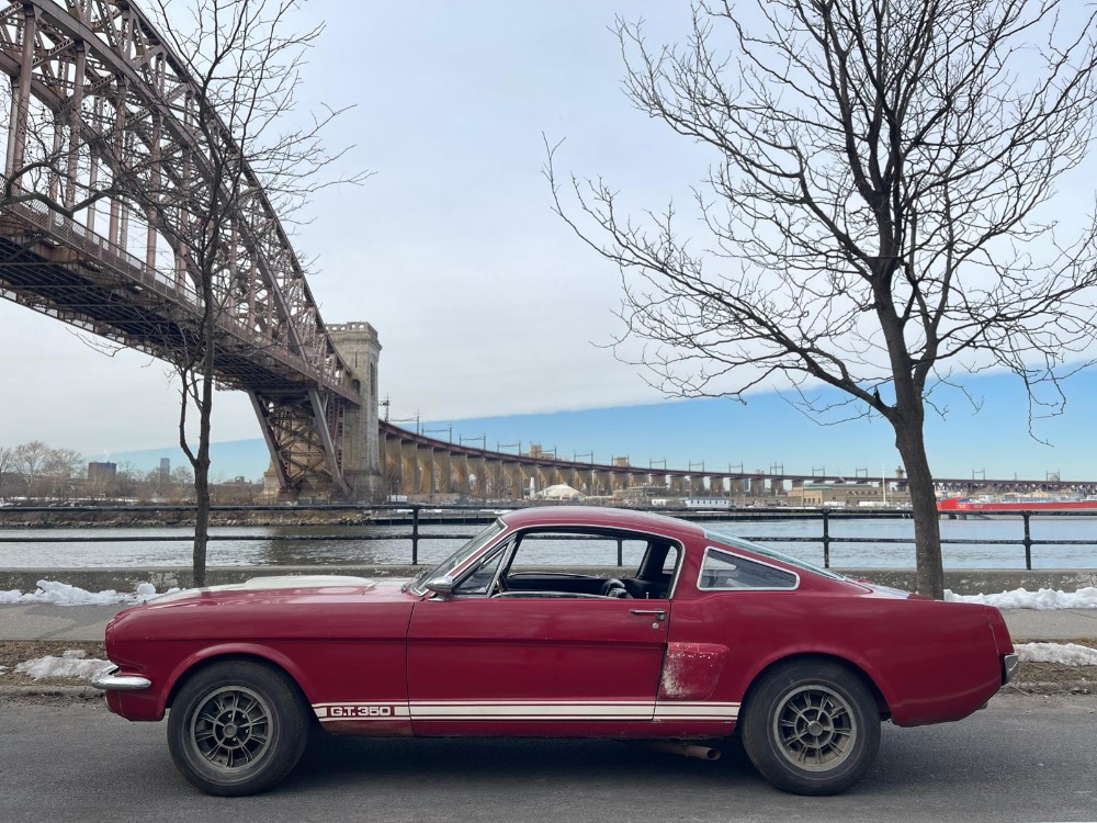 Used 1966 Ford Shelby Mustang   | Astoria, NY