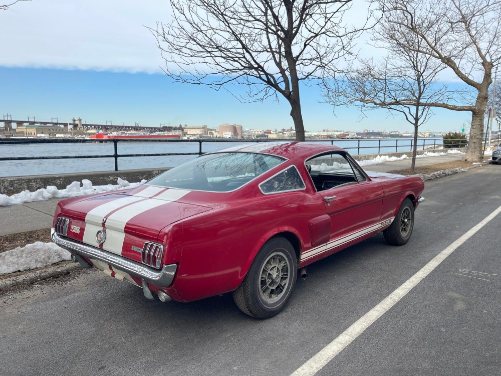 Used 1966 Ford Shelby Mustang   | Astoria, NY