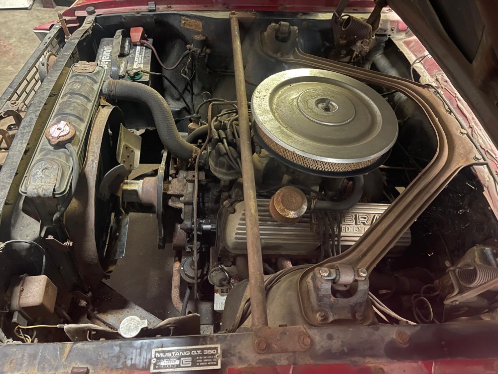 Used 1966 Ford Shelby Mustang   | Astoria, NY