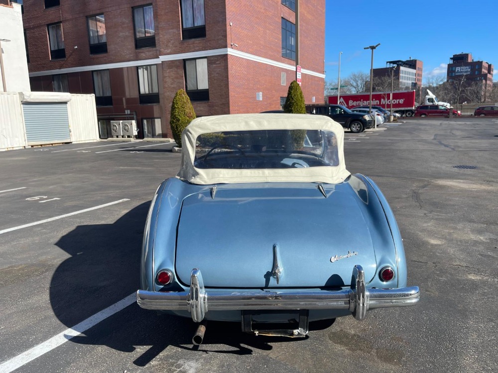 Used 1955 Austin-Healey 100-4   | Astoria, NY