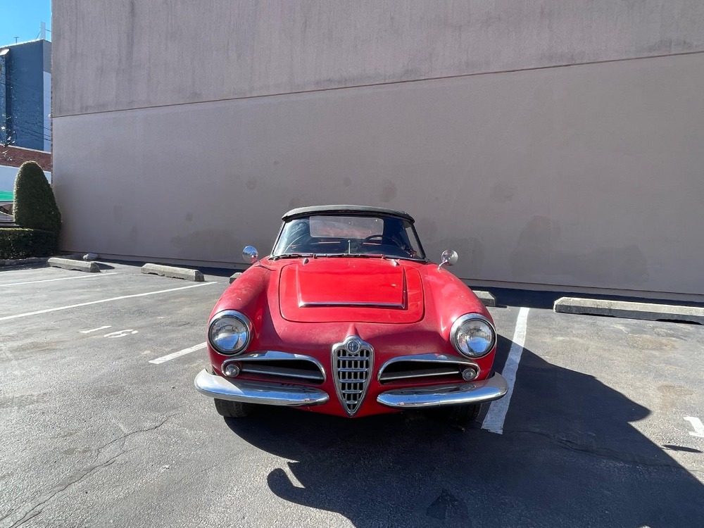 Used 1964 Alfa Romeo Giulia 1600   | Astoria, NY