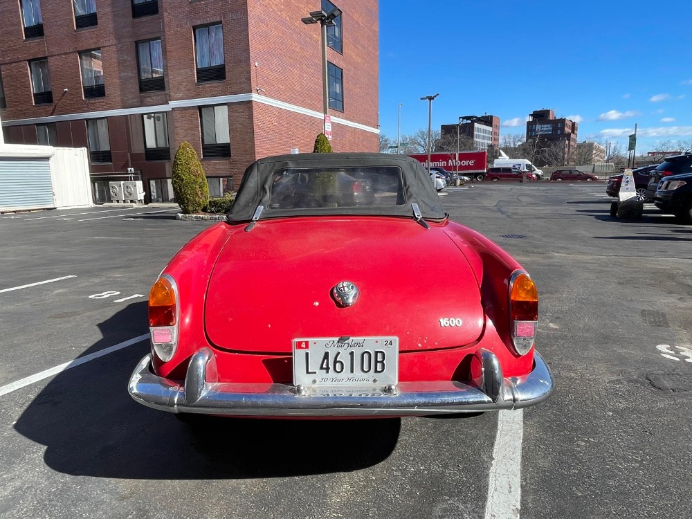 Used 1964 Alfa Romeo Giulia 1600   | Astoria, NY