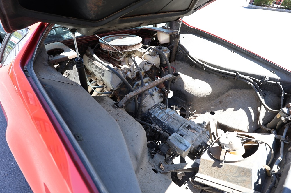 Used 1972 DeTomaso Panterav   | Astoria, NY