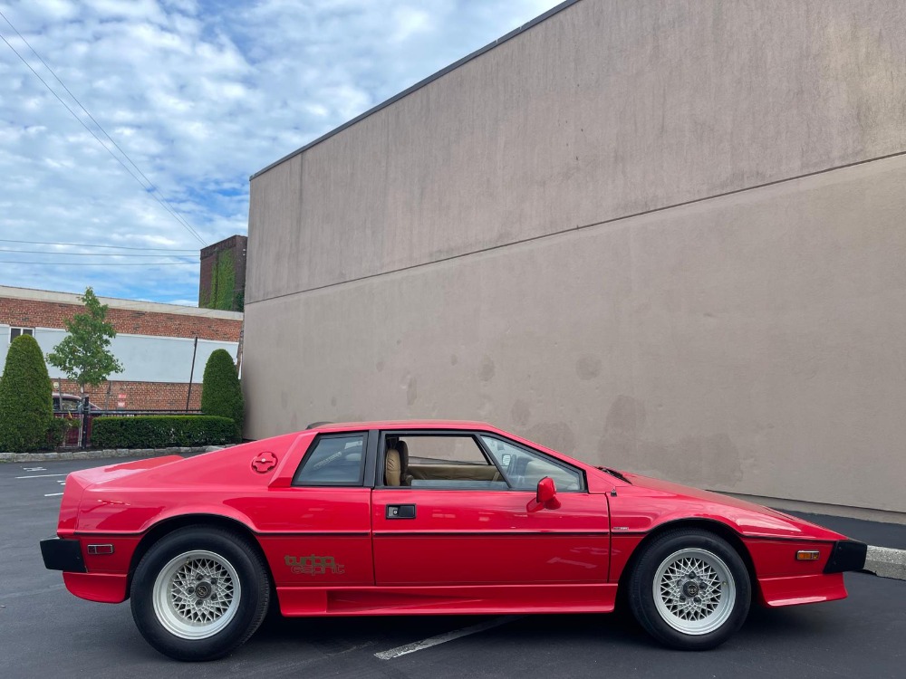 Used 1986 Lotus Esprit   | Astoria, NY