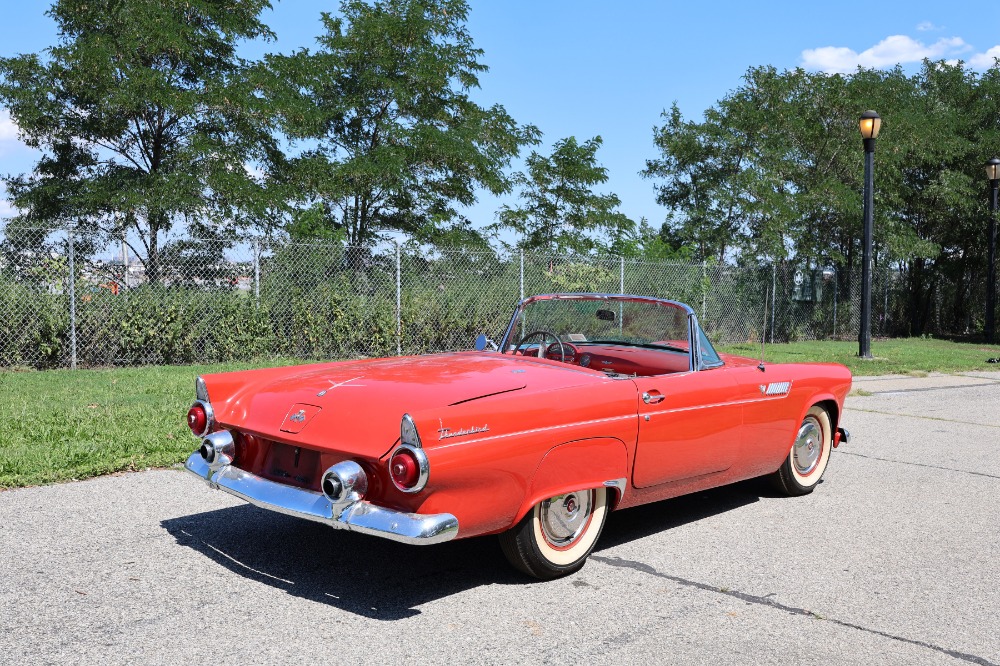 1955 Ford Thunderbird 6