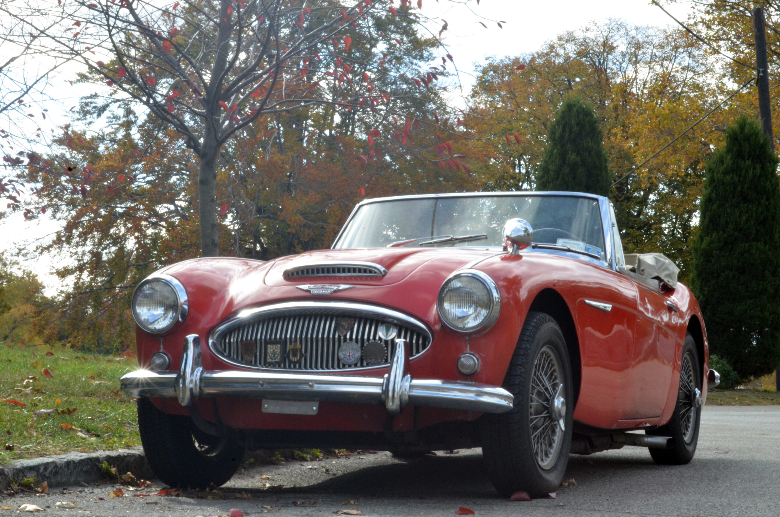 Classic Austin Healey For Sale?
